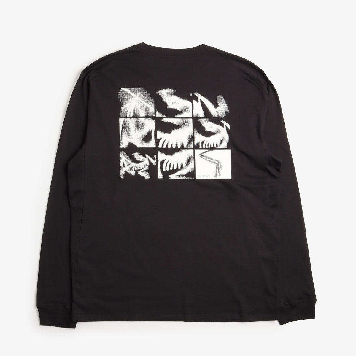 Arc'teryx Kragg SL Cotton Bird Tile Long Sleeve T-Shirt