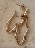 arie hoops